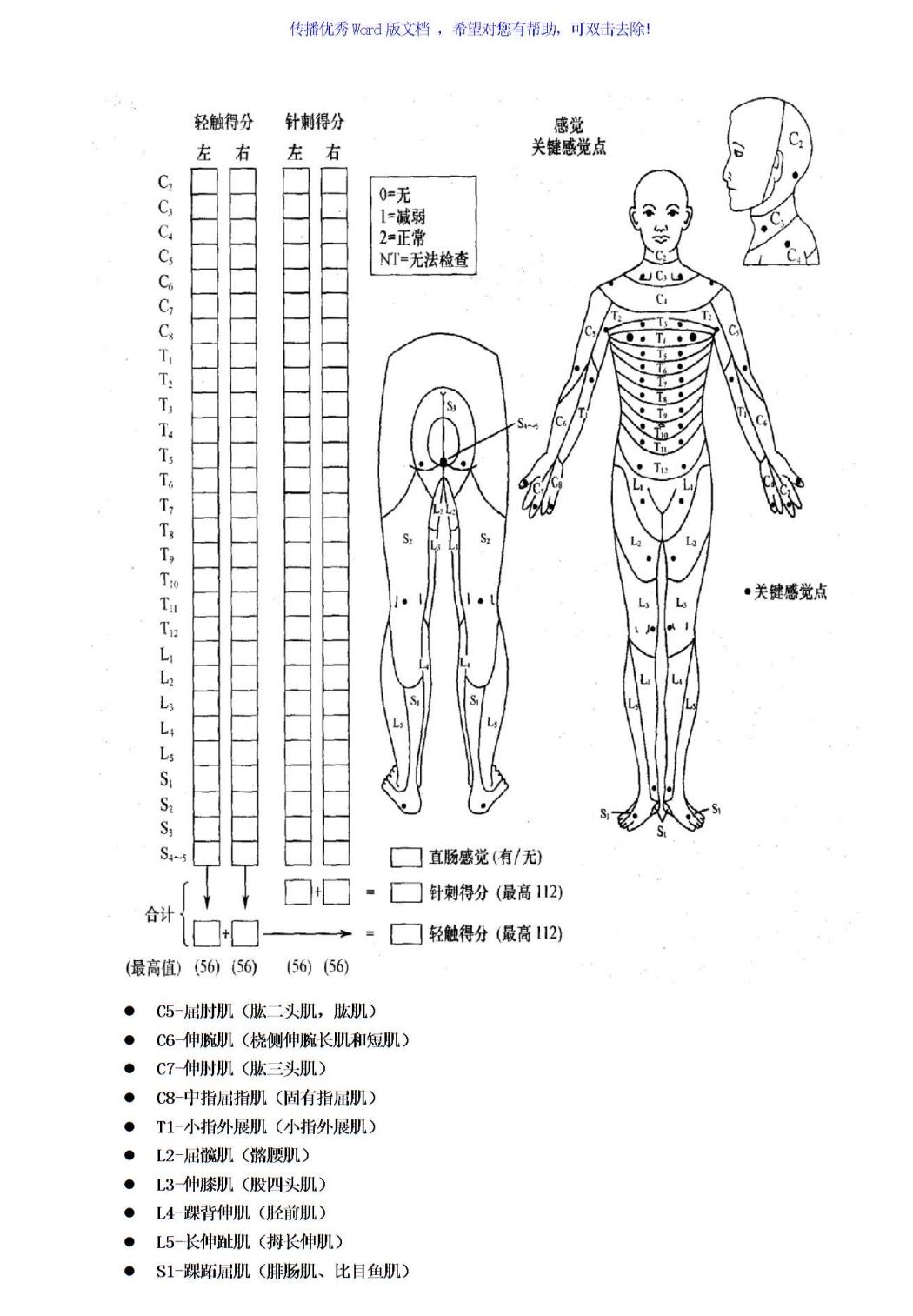 脊髓損傷的康復